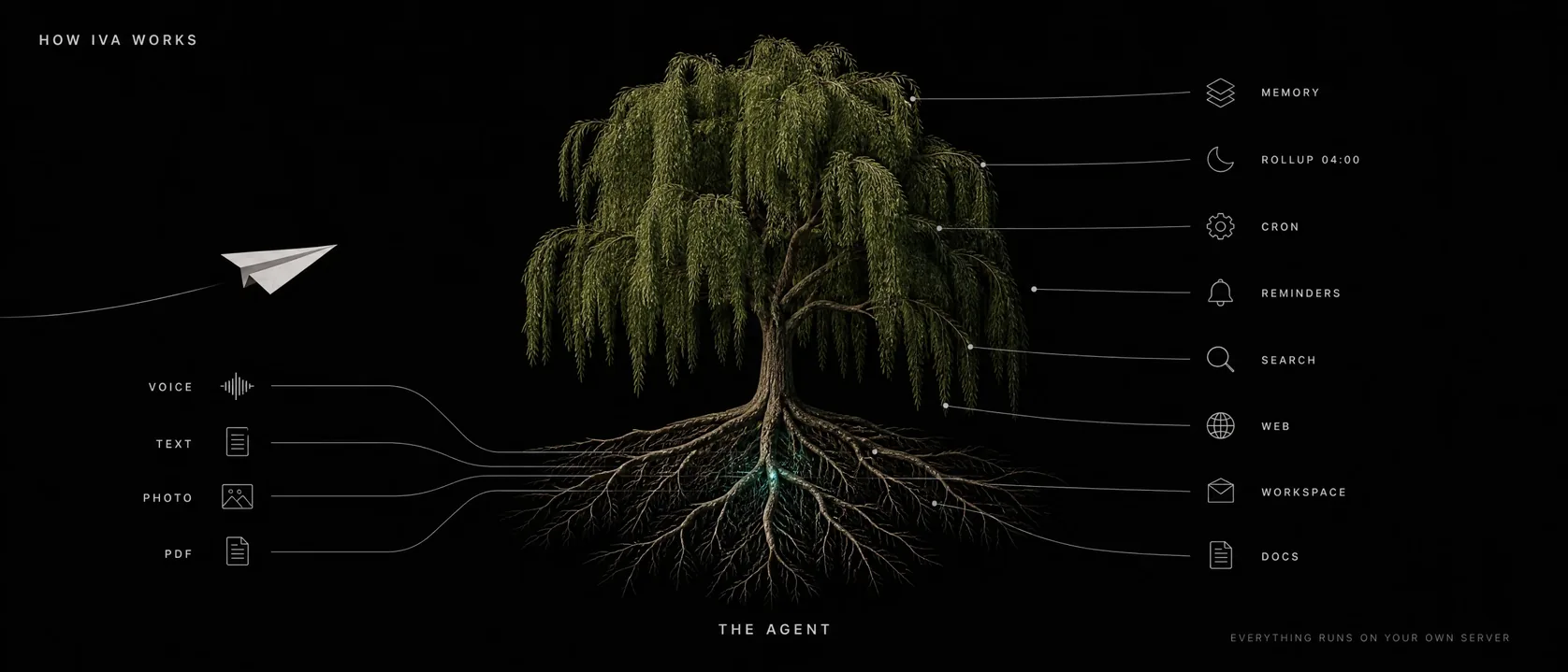 How Iva works: voice, text, photos and PDFs fly from Telegram into the willow-tree agent, wired to memory, nightly rollup, cron, reminders, search, web, workspace and docs